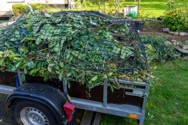 Best Recycling Services for Junk  in New Burlington, OH